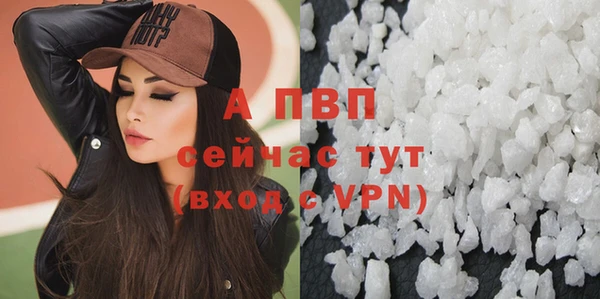 спиды Белокуриха