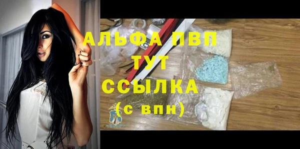 дживик Богородск